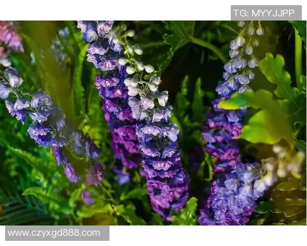 足球巨星化身园艺师 展现球场外的别样种花风采